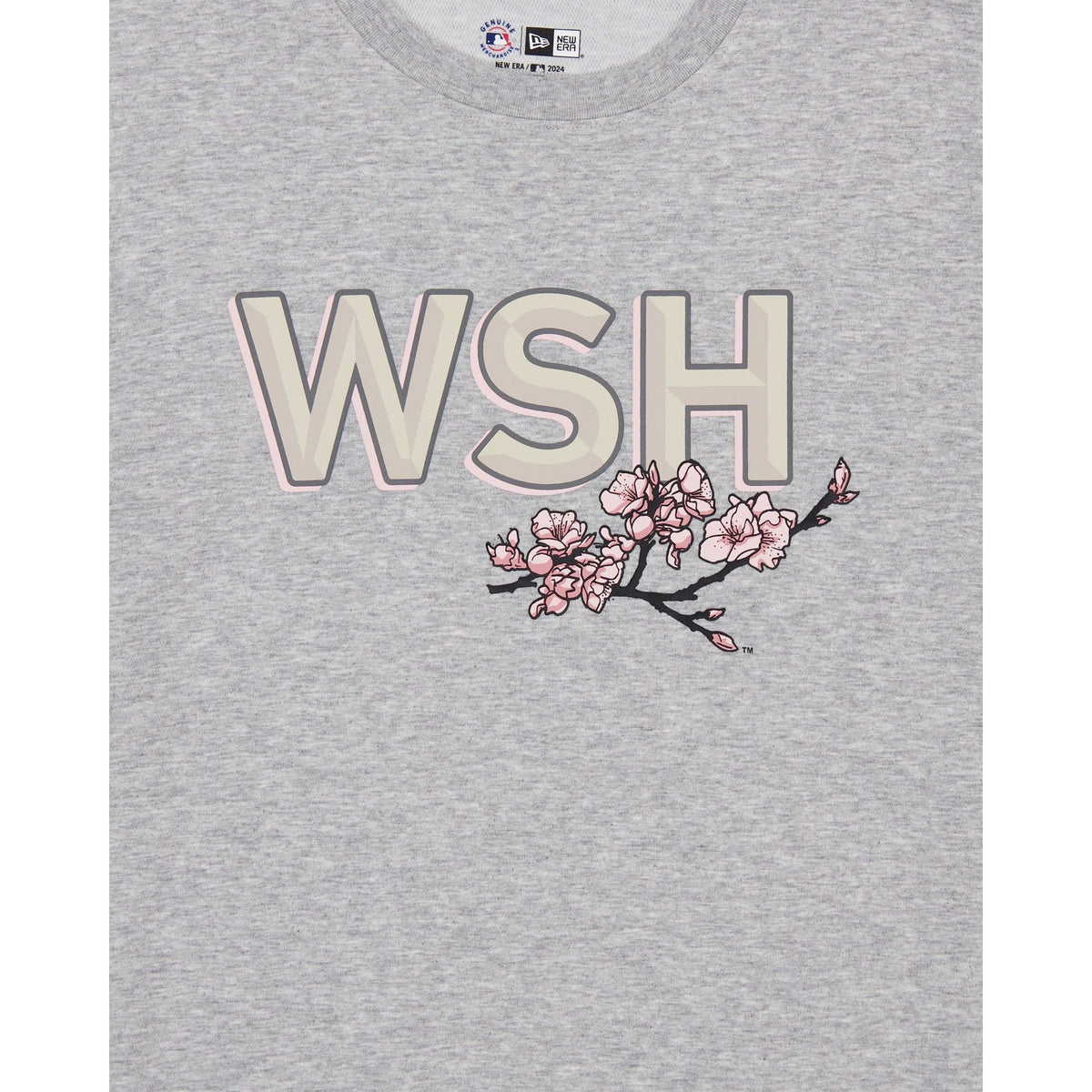 Washington Nationals City Connect Heather Gray T-Shirt