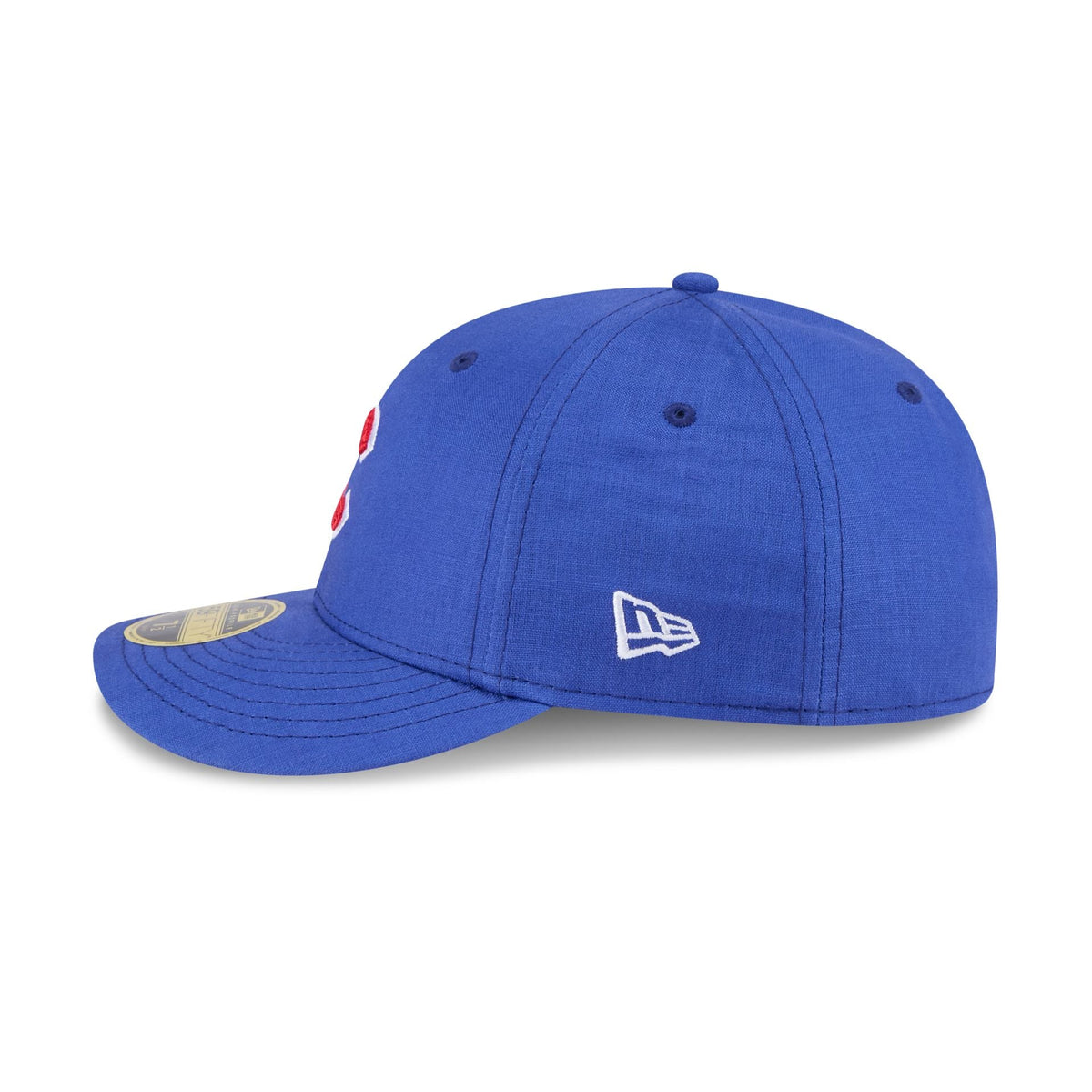 Chicago Cubs Snake Scale Logo Low Profile 59FIFTY Fitted Hat