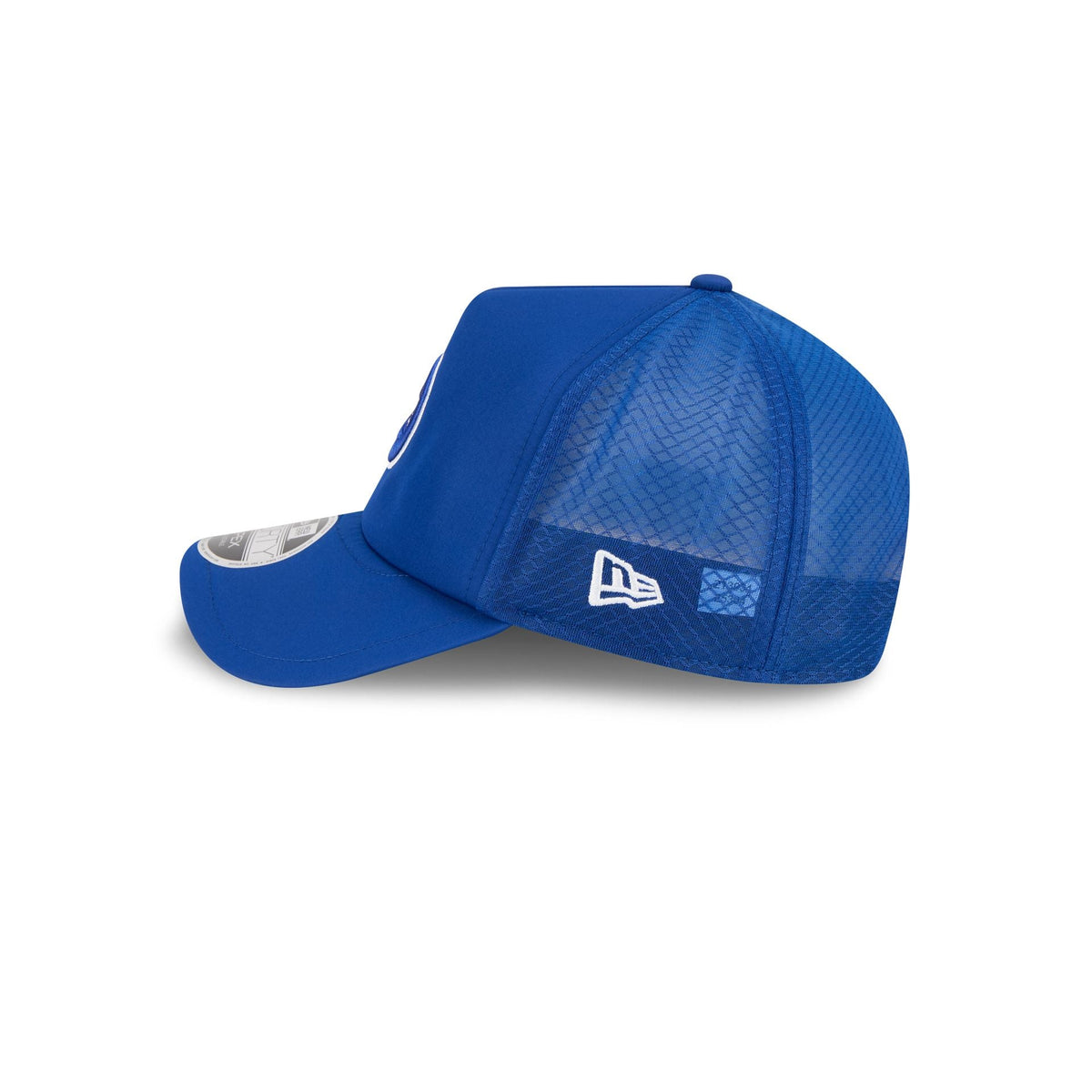 Chicago Cubs 2026 Batting Practice Alt Circle 9FORTY APEX Trucker Hat